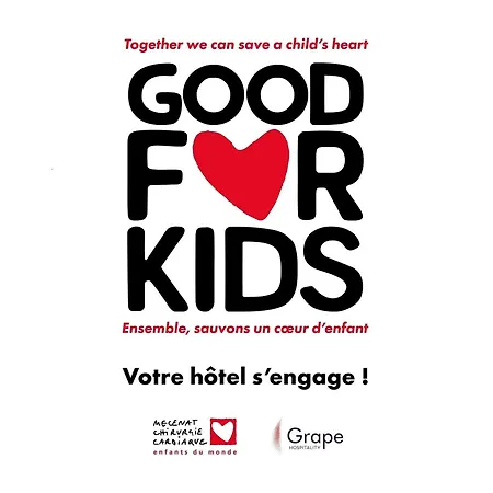 Ibis Nord Tours